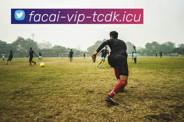 MK体育服务体系